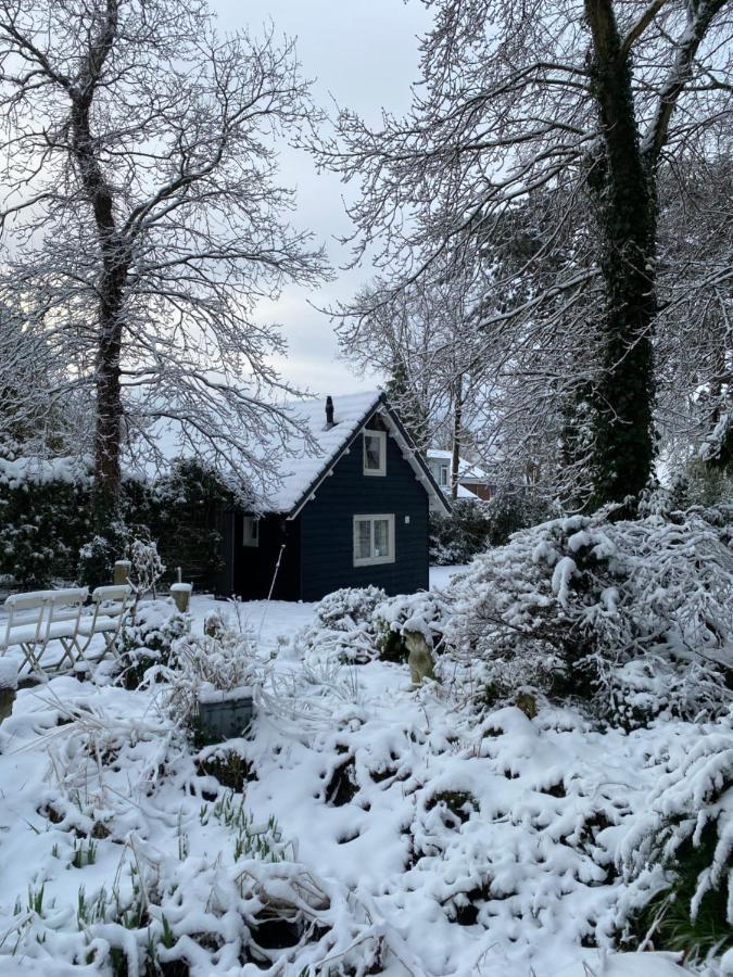 Garden Find Zandvoort Bentveld Kültér fotó